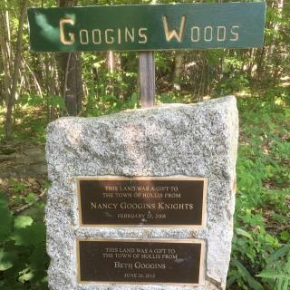 Googins Woods